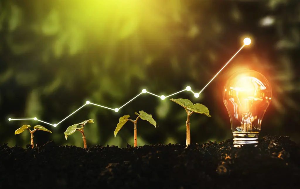 Seedlings at different stages of growth beside a light bulb.