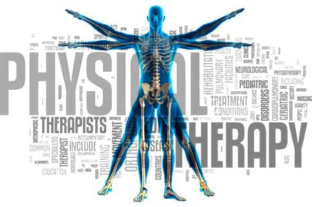 physical therapy credentialing service